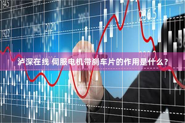 泸深在线 伺服电机带刹车片的作用是什么？