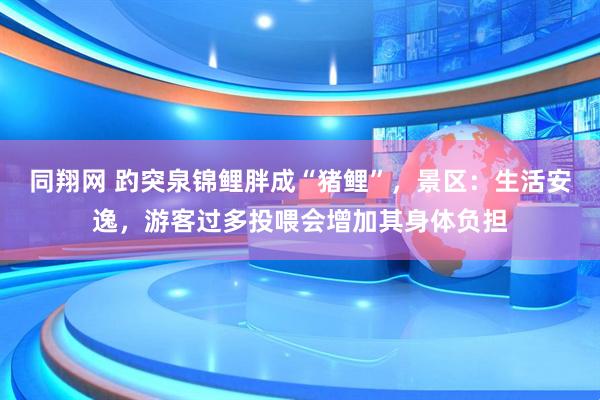 同翔网 趵突泉锦鲤胖成“猪鲤”，景区：生活安逸，游客过多投喂会增加其身体负担